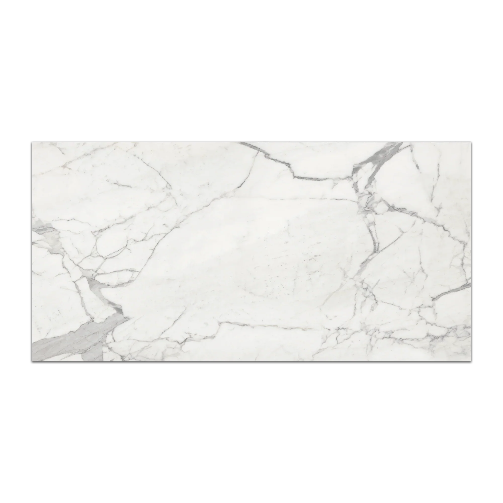 Elon Nuance Calacatta Porcelain Rectangle Field Tile 12x24x0.375 Honed MP105H Surface Group International Product