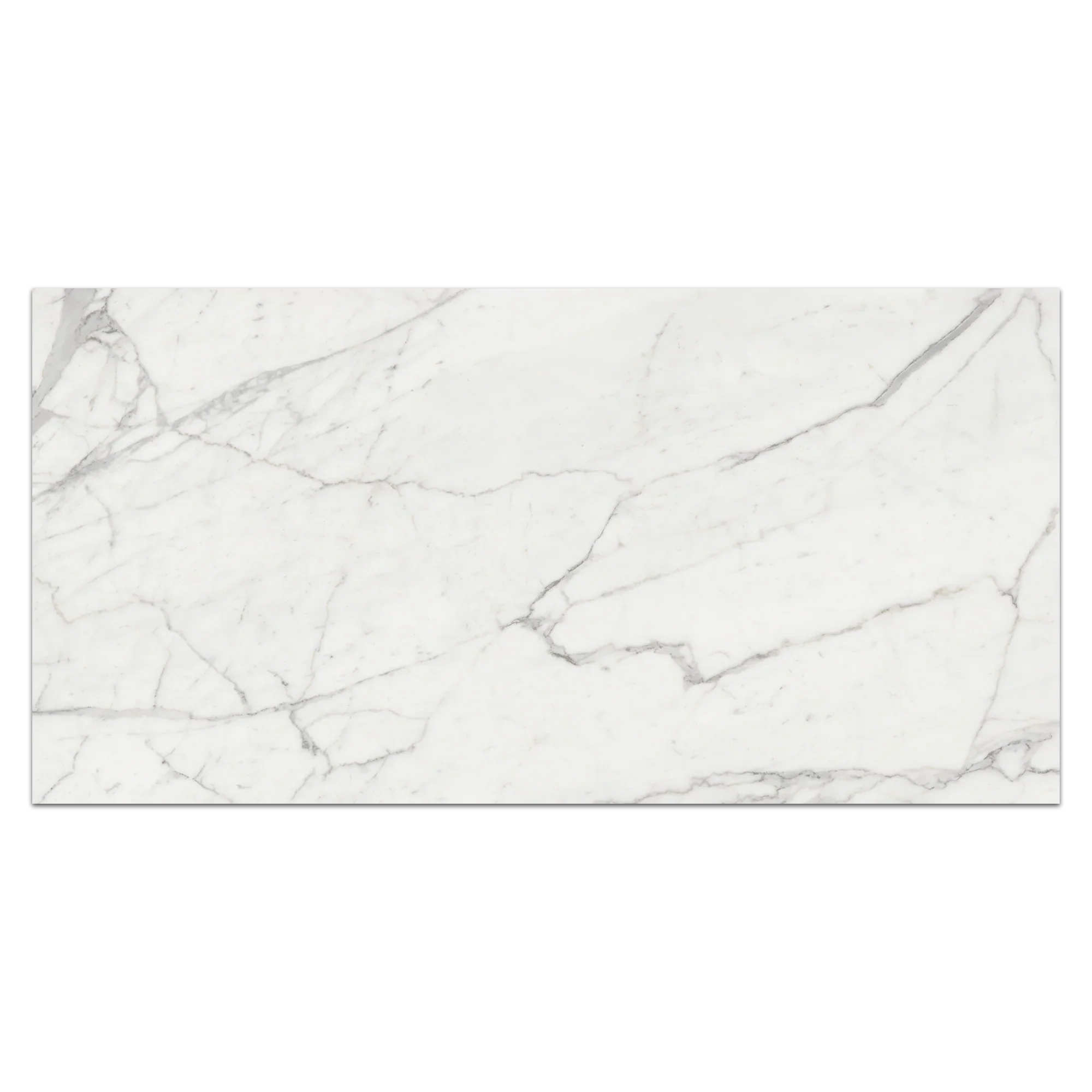 Elon Nuance Calacatta Porcelain Rectangle Field Tile 24x48x0.375 Honed MP107H Surface Group International Product