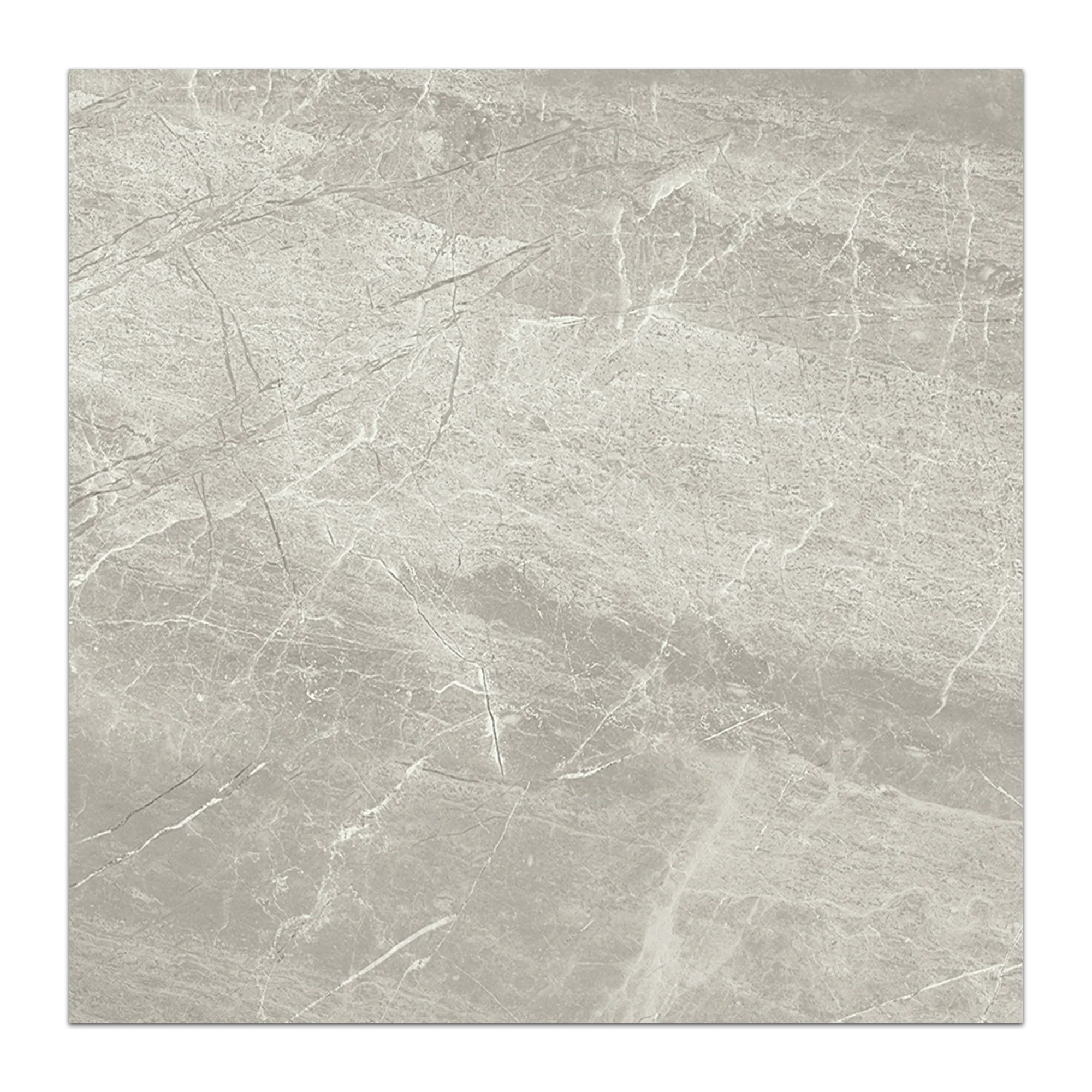 Elon Nuance Grey Porcelain Square Field Tile 24x24x0.375 Semi Polished MP406P Surface Group International Product