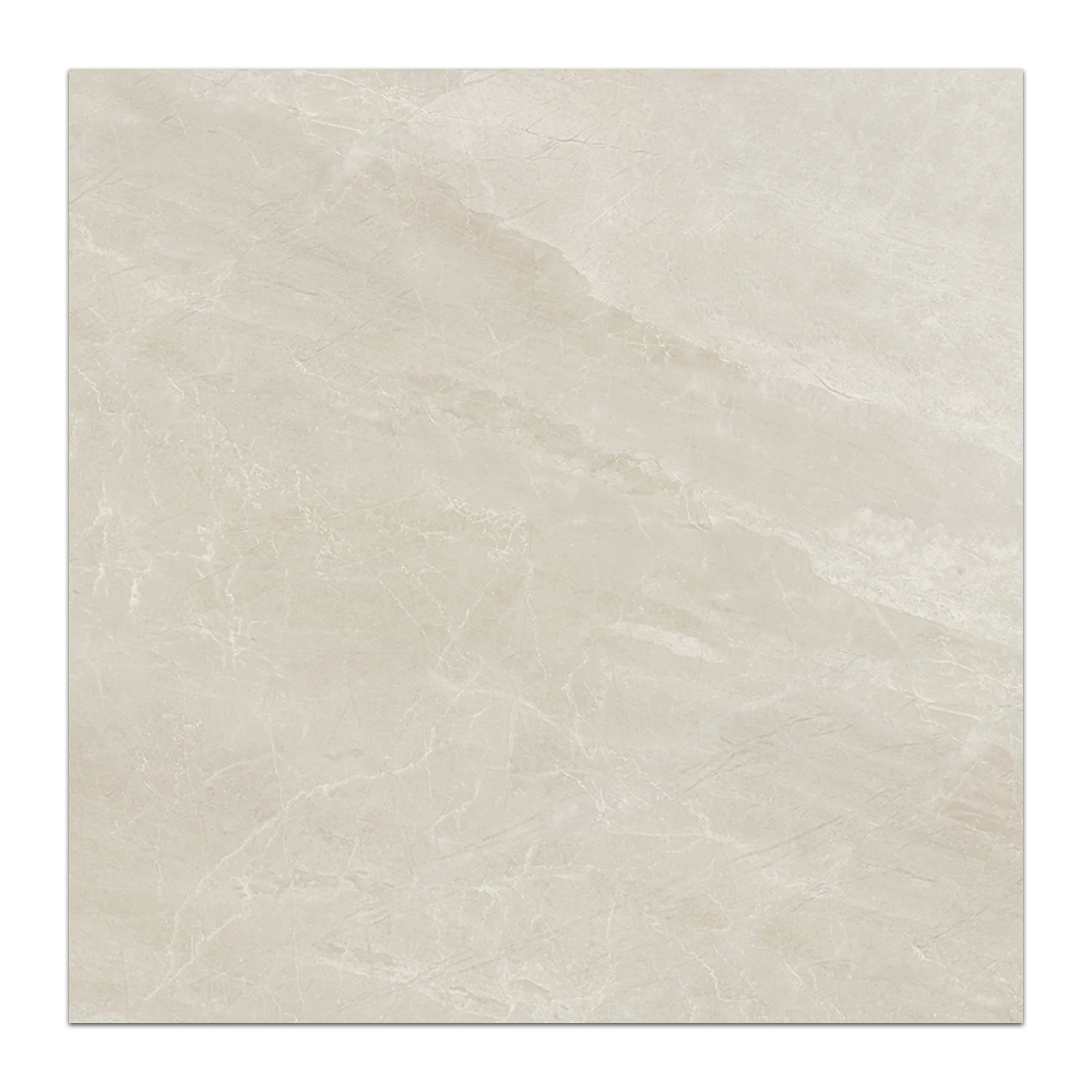 Elon Nuance White Shell Porcelain Square Field Tile 24x24x0.375 Honed - Surface Group International