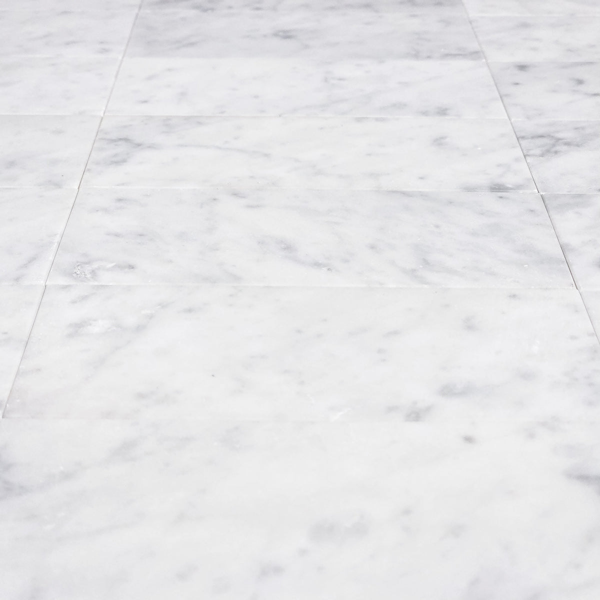 Elon Tile Bianco Carrara Field Tile tile arrangement — available at Surface Group