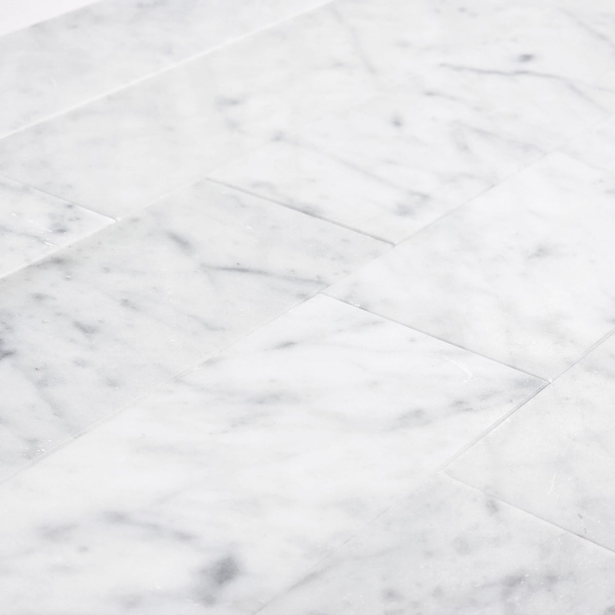 Elon Tile Bianco Carrara Field Tile tile arrangement — available at Surface Group