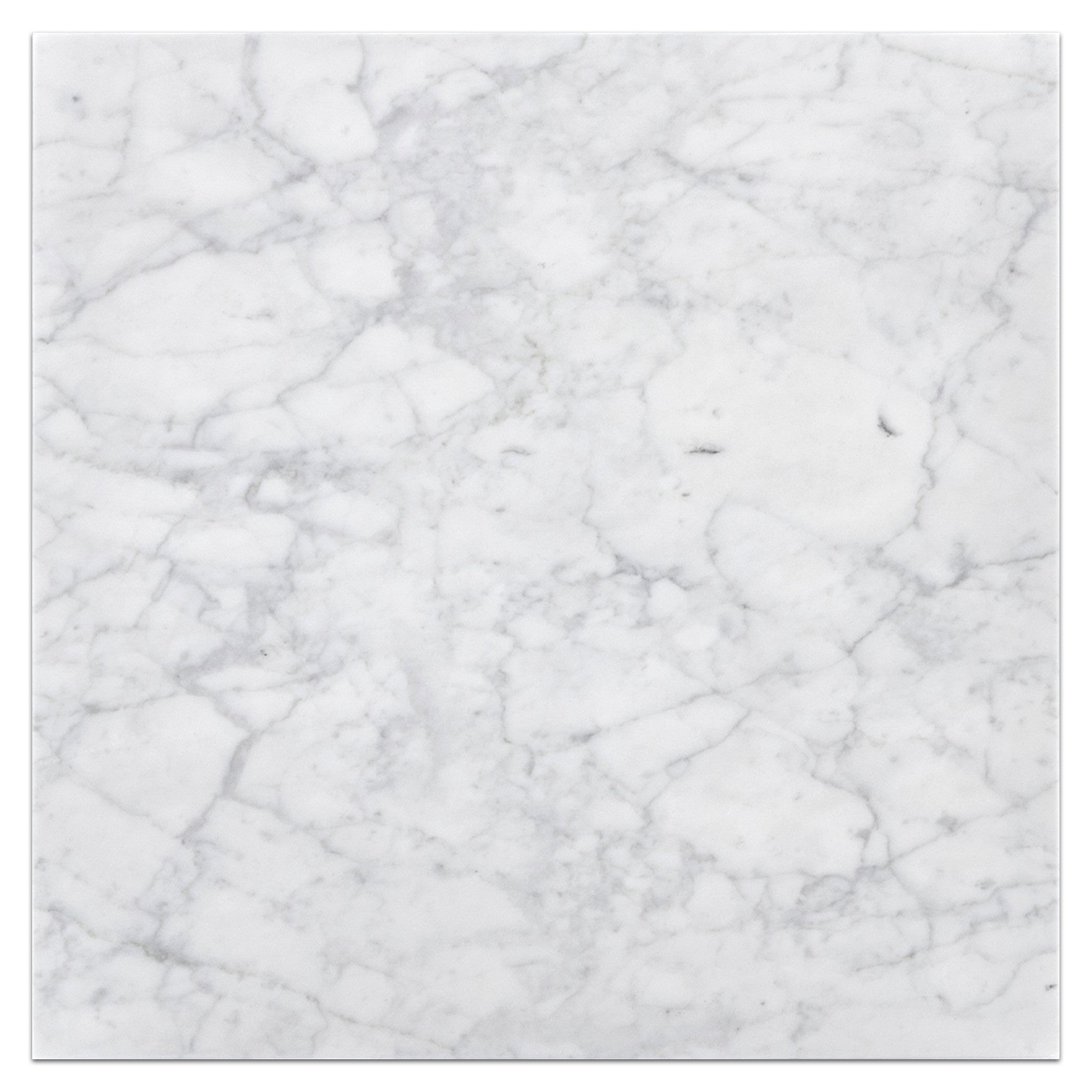 Elon Tile Bianco Carrara Field Tile tile — available at Surface Group