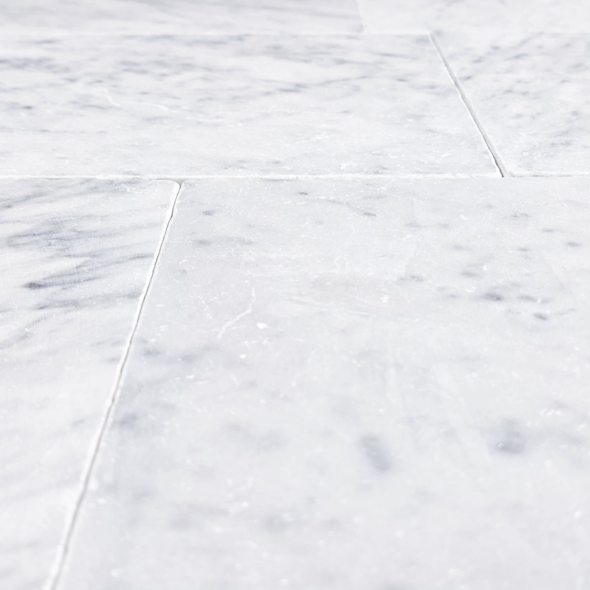 Elon Tile Bianco Carrara Field Tile tile arrangement — available at Surface Group