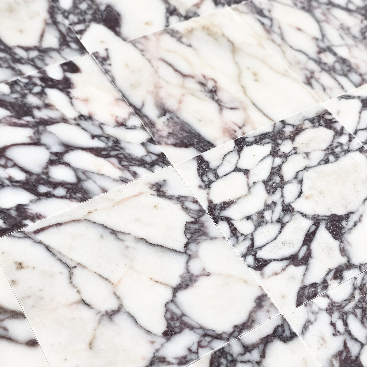 Elon Tile Bianco Violetta Field Tile tile arrangement — available at Surface Group