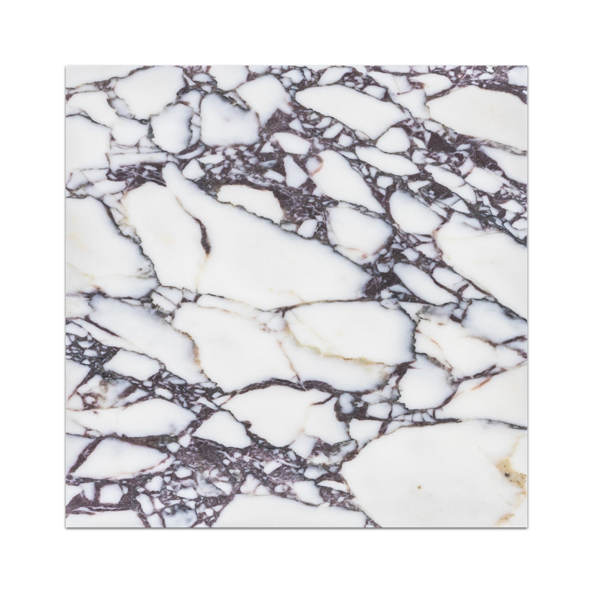 Elon Tile Bianco Violetta Field Tile tile — available at Surface Group