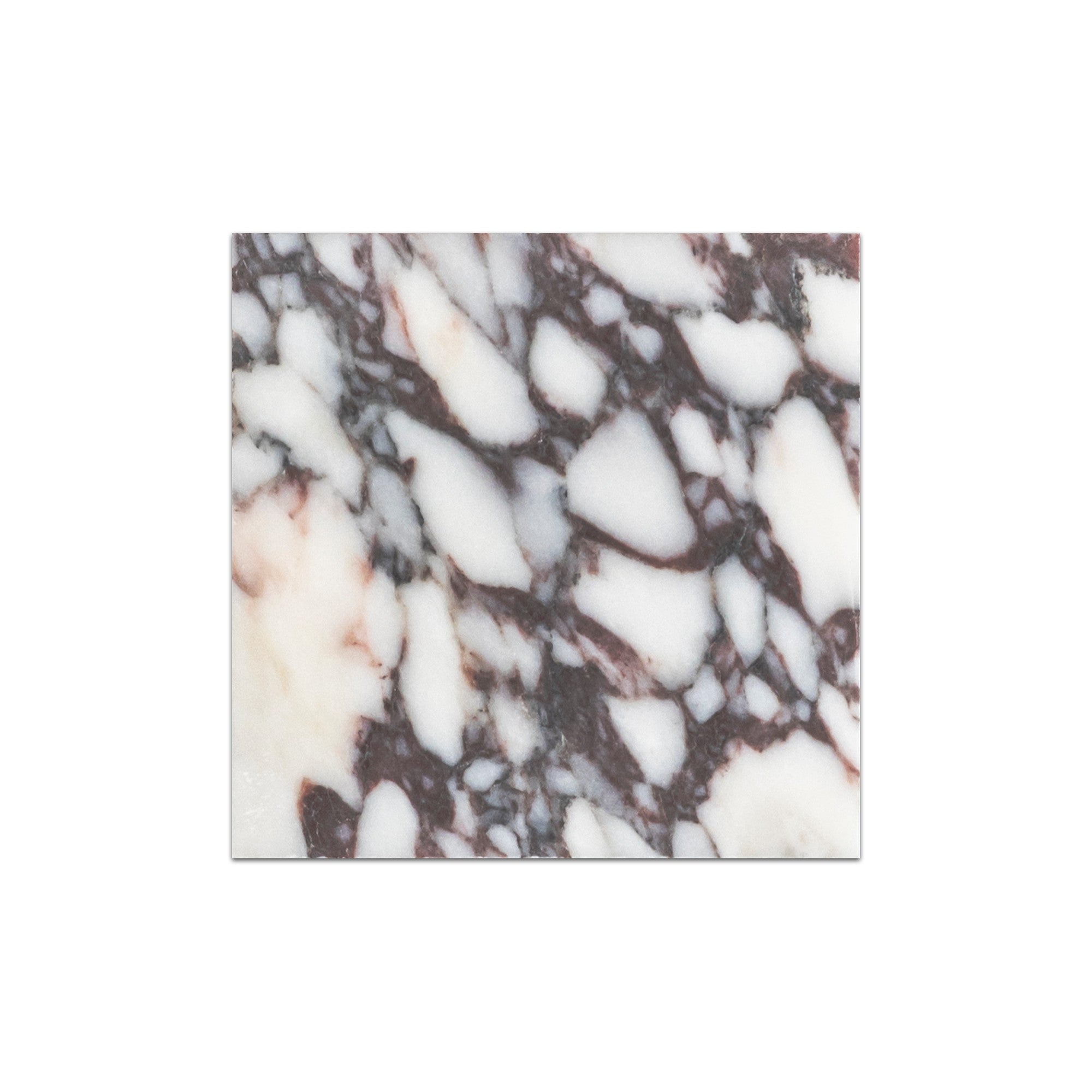 Elon Tile Bianco Violetta Field Tile tile — available at Surface Group