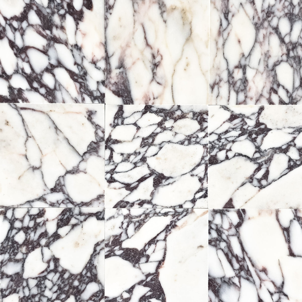 Elon Tile Bianco Violetta Field Tile tile pattern swatch — available at Surface Group