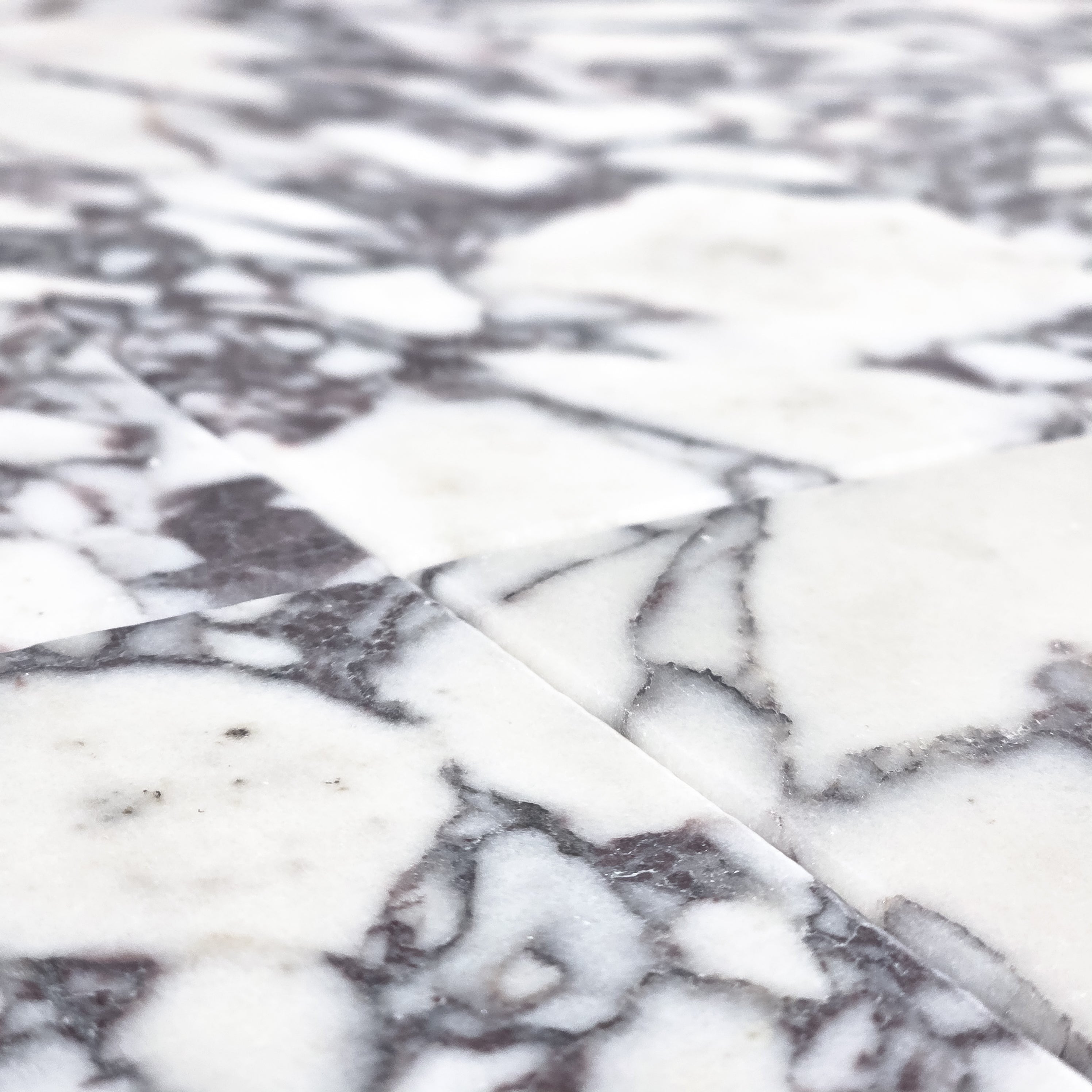 Elon Tile Bianco Violetta Field Tile tile arrangement — available at Surface Group