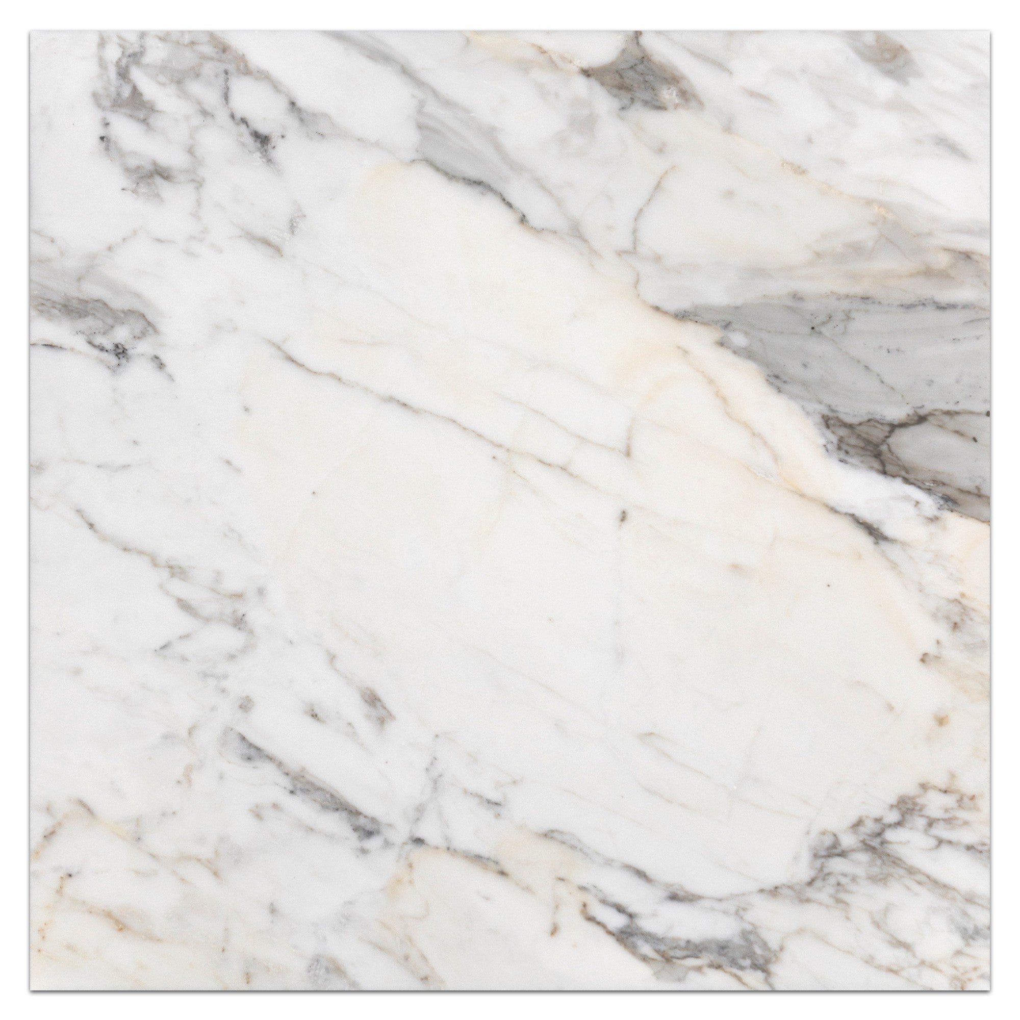 Elon Tile Calacatta Gold Field Tile tile — available at Surface Group