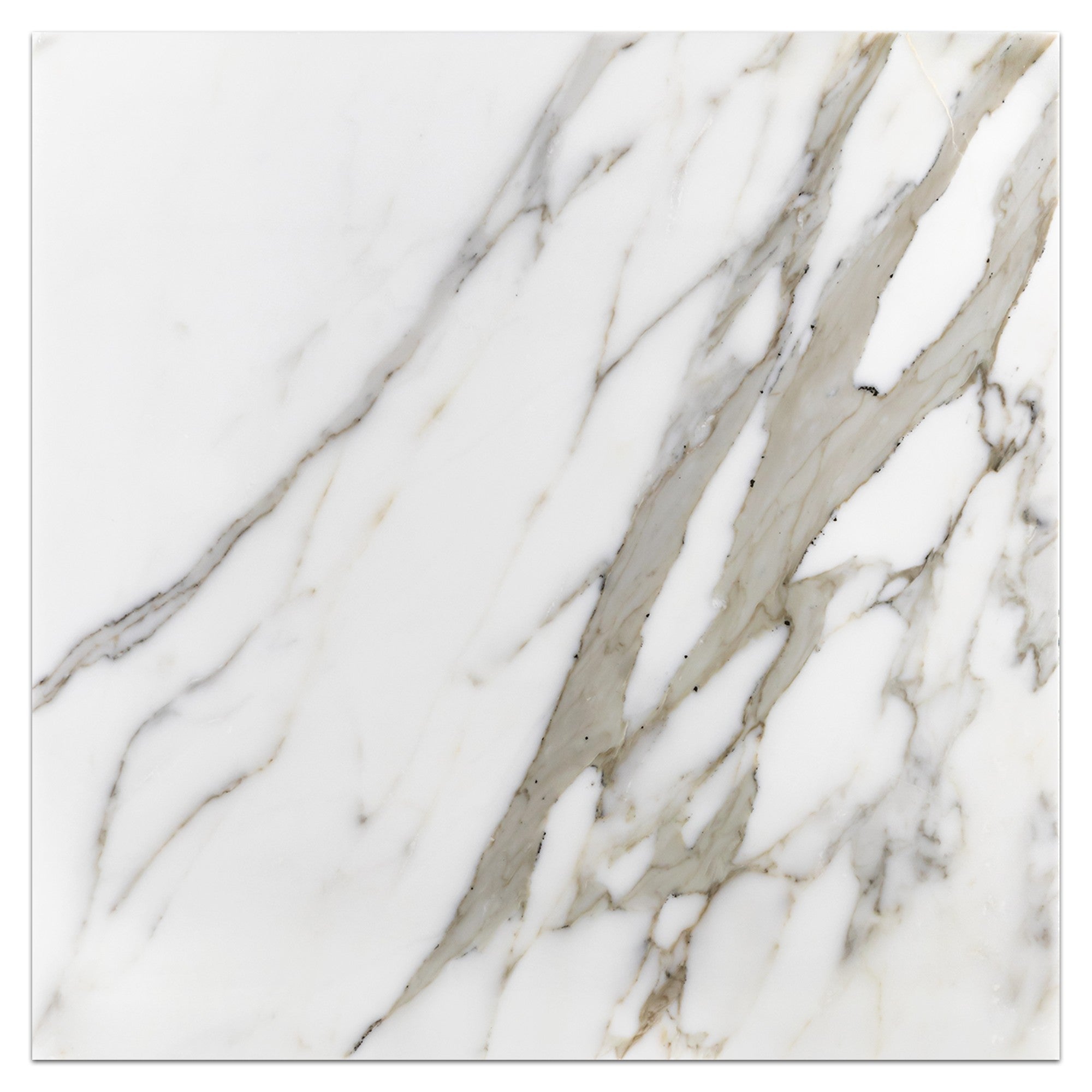 Elon Tile Calacatta Gold Field Tile tile — available at Surface Group