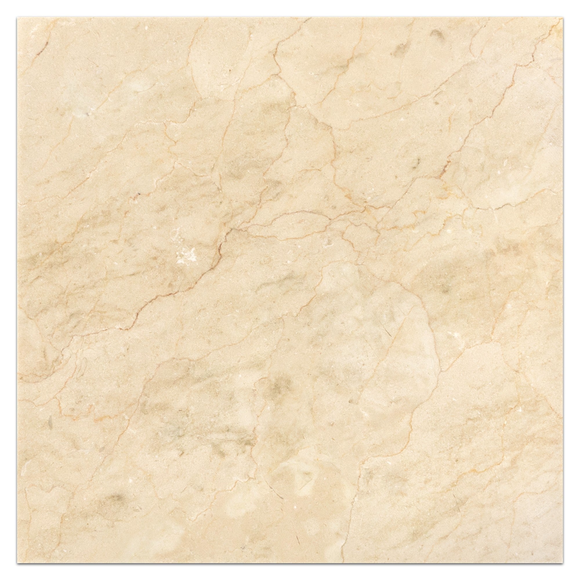 Elon Tile Crema Marfil Field Tile tile — available at Surface Group