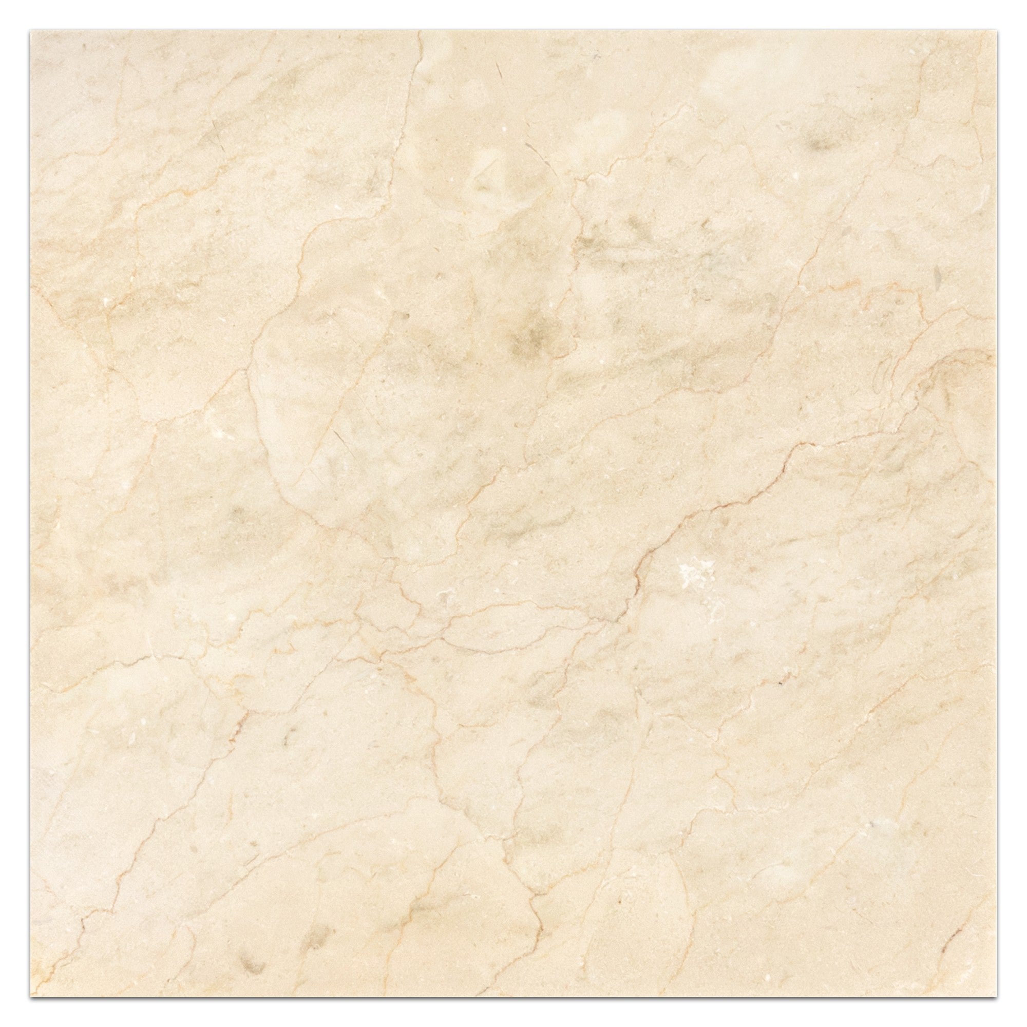 Elon Tile Crema Marfil Field Tile tile — available at Surface Group