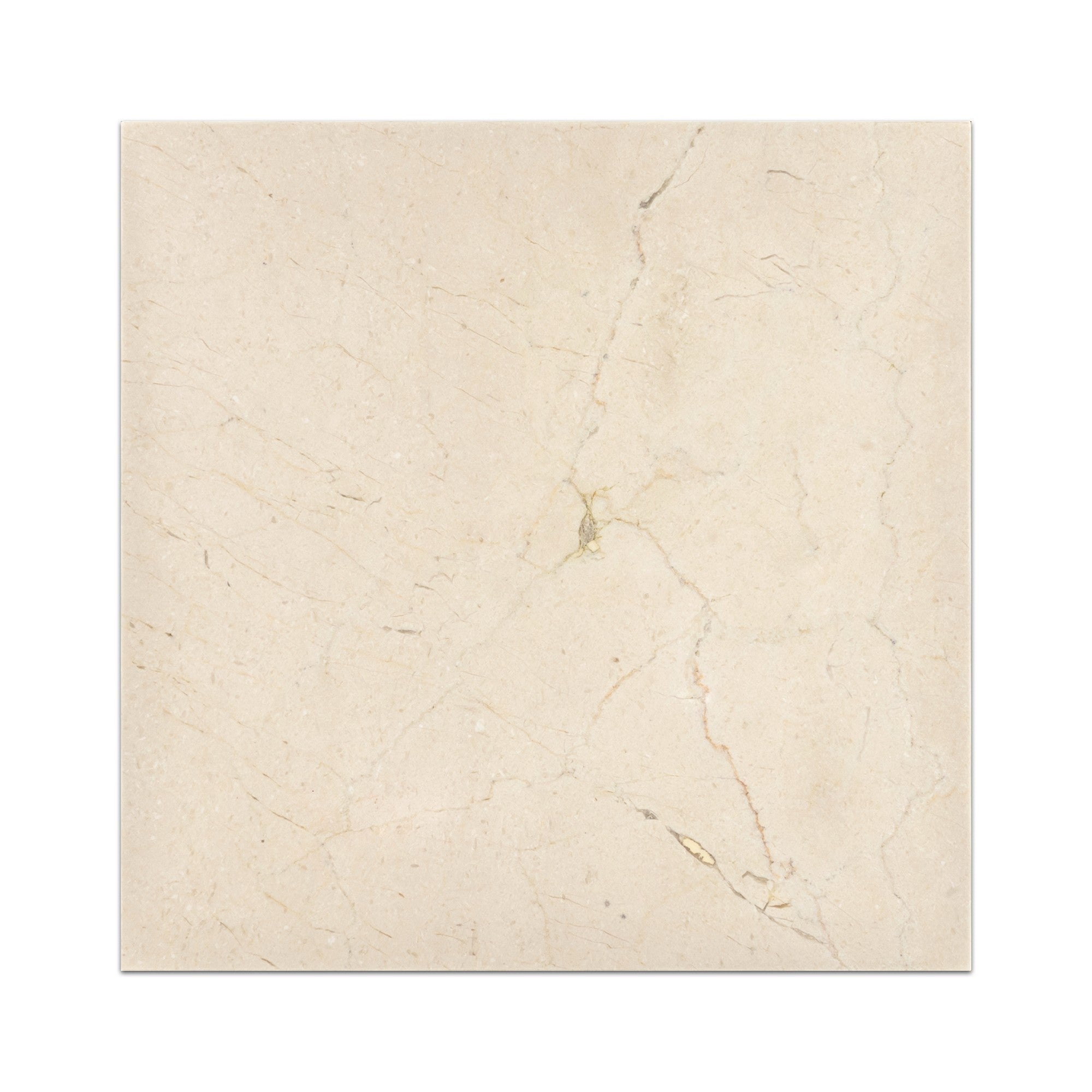 Elon Tile Crema Marfil Field Tile tile — available at Surface Group