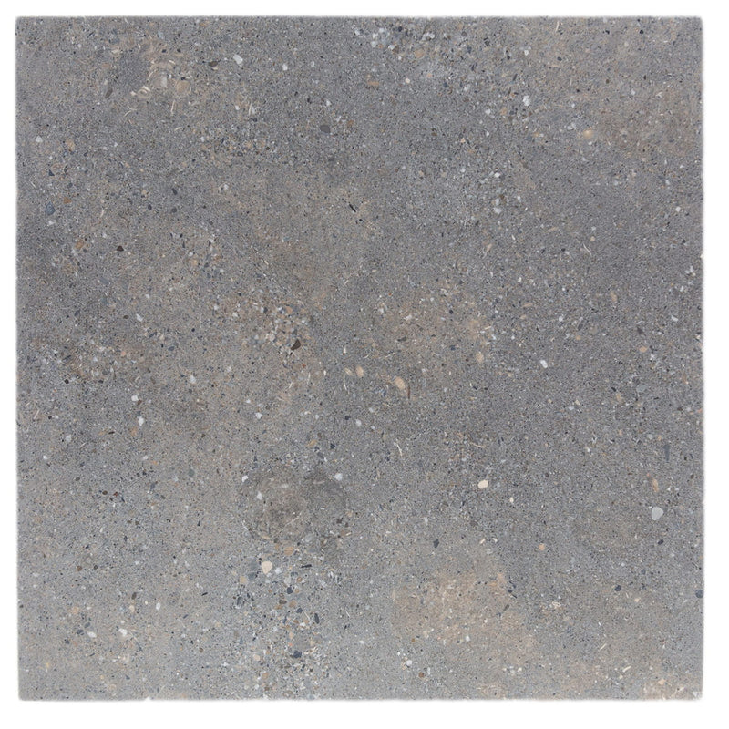 Argent Limestone tile and surface collection