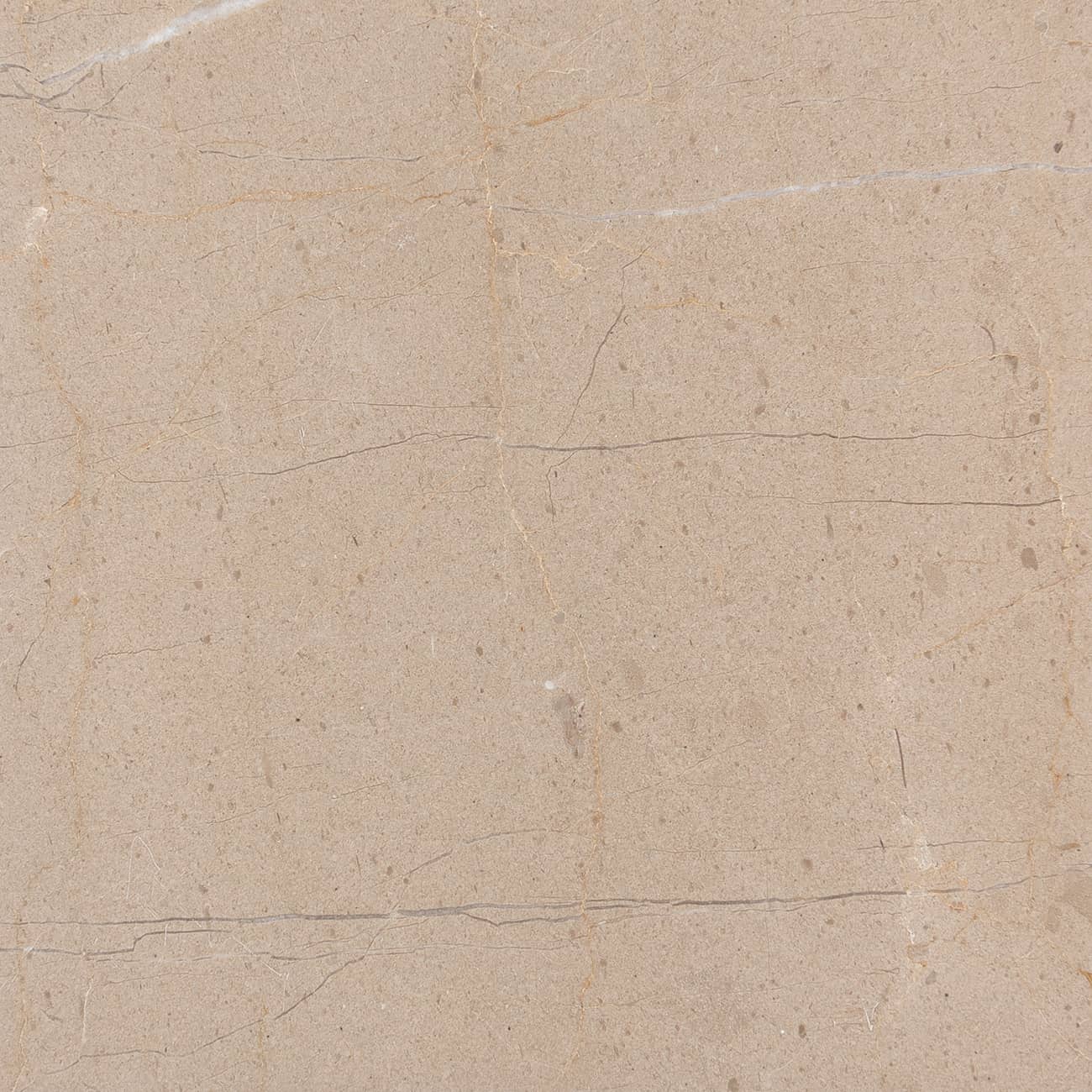 Corinthian Beige marble field tile from Haussmann Natural Stone, 12" x 24" rectangle tile with honed finish.