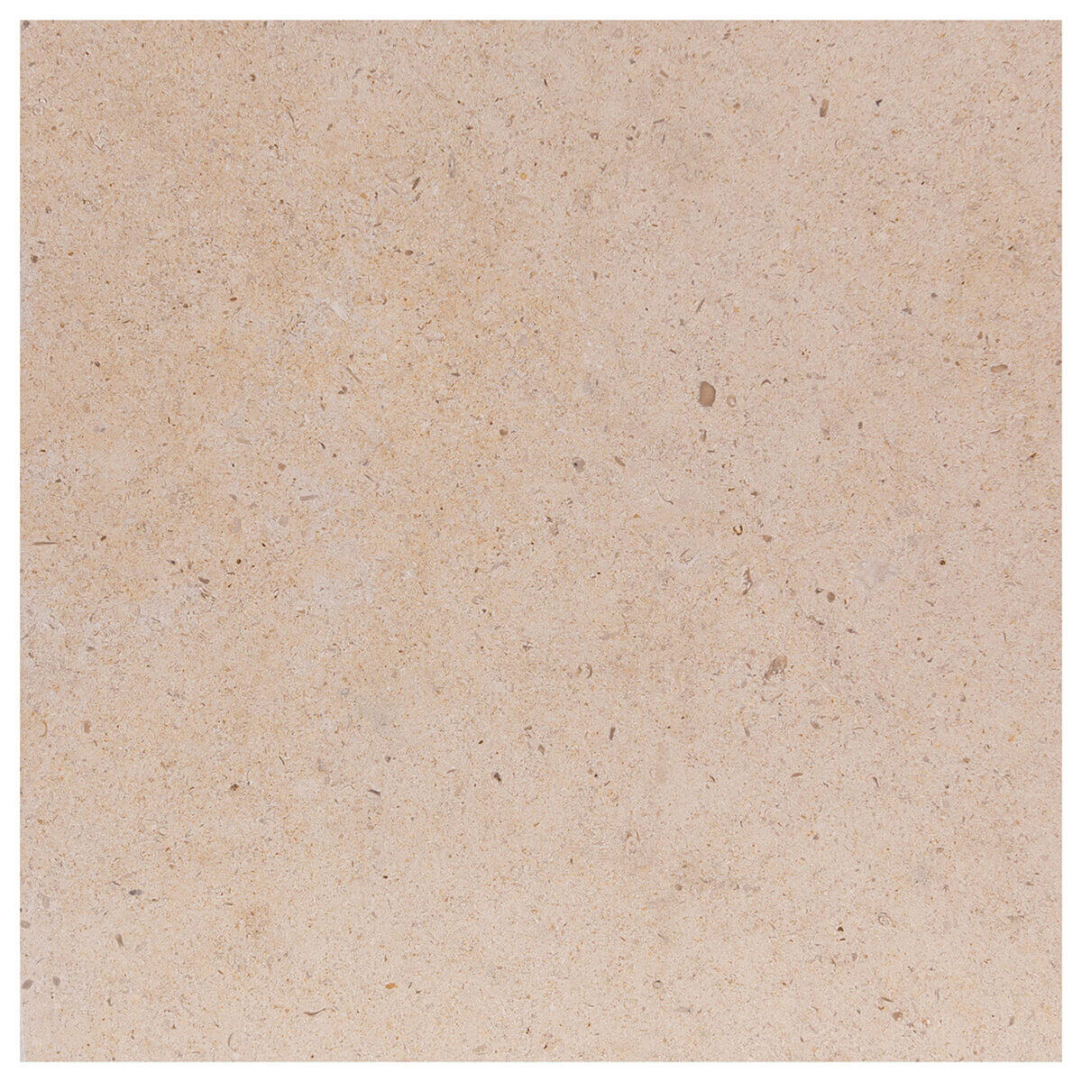 Corton Beige limestone field tile - 12x12x0.375 inches