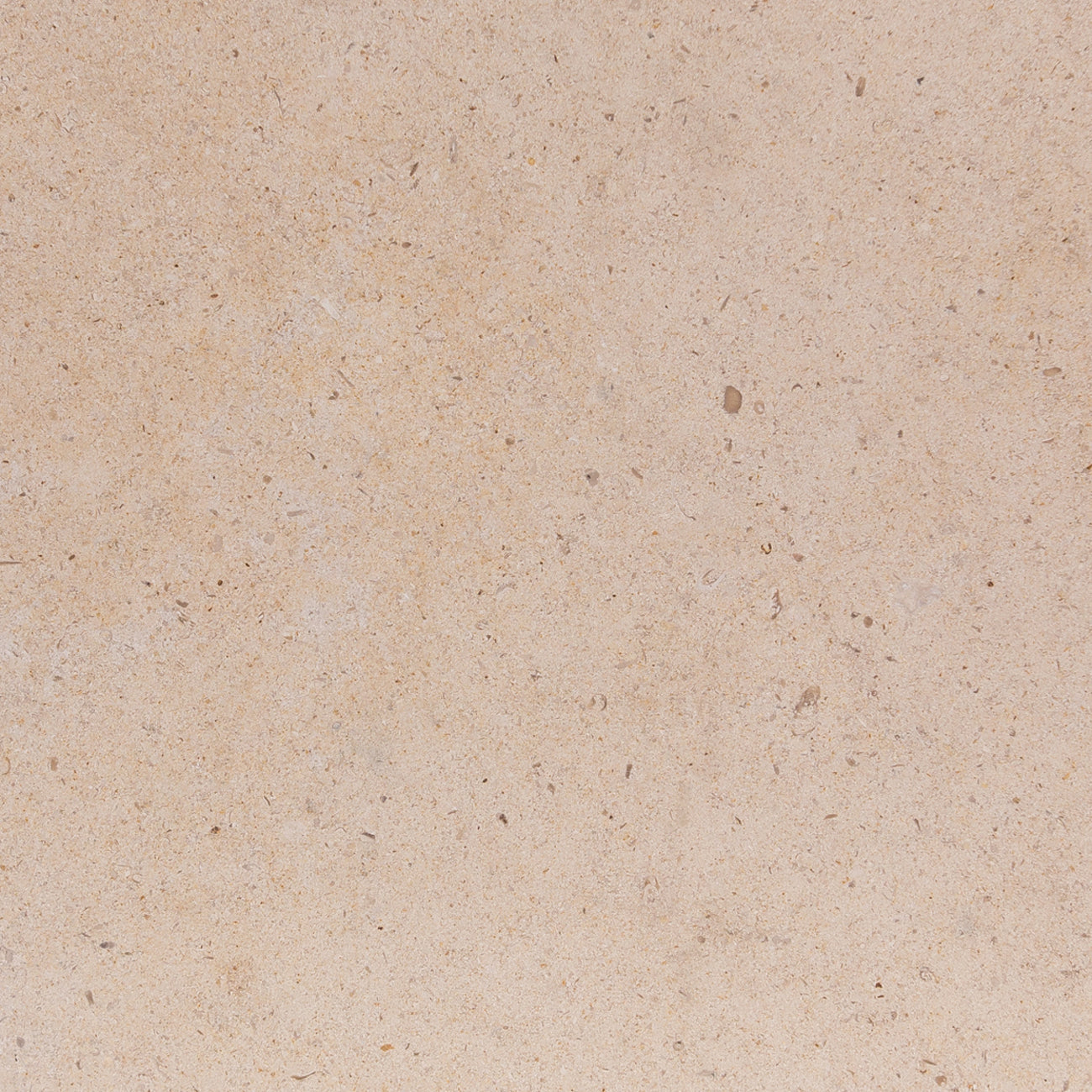 Corton Beige limestone field tile - 24"x24"x1/2" - honed finish - straight edge