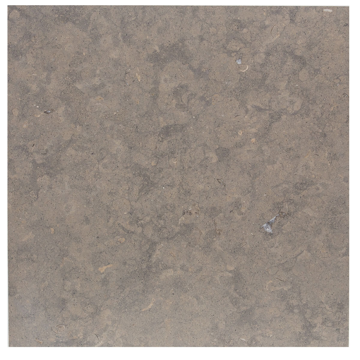 Côte d'Azur limestone field tiles with honed finish, 18x18x0.375 inches