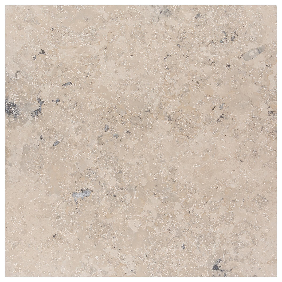 Jura Grey field tile from Haussmann Natural Stone, 12x12 inches, 0.375 inches thick