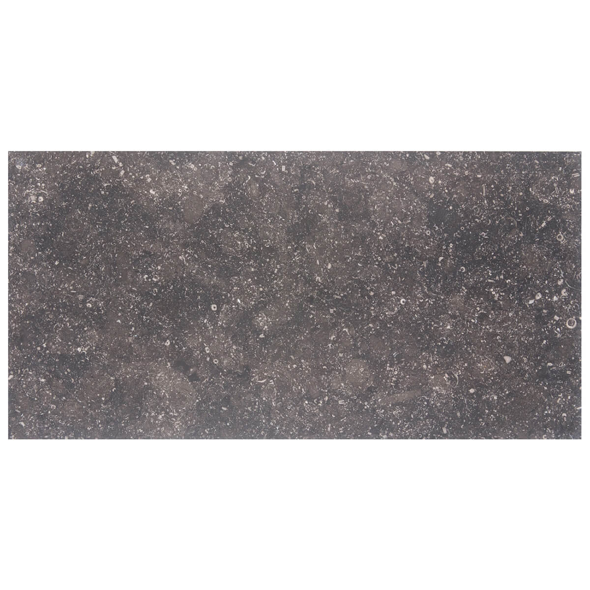 Noir Sully collection limestone field tiles with honed finish and straight edges, 12"x24"x3/8" size