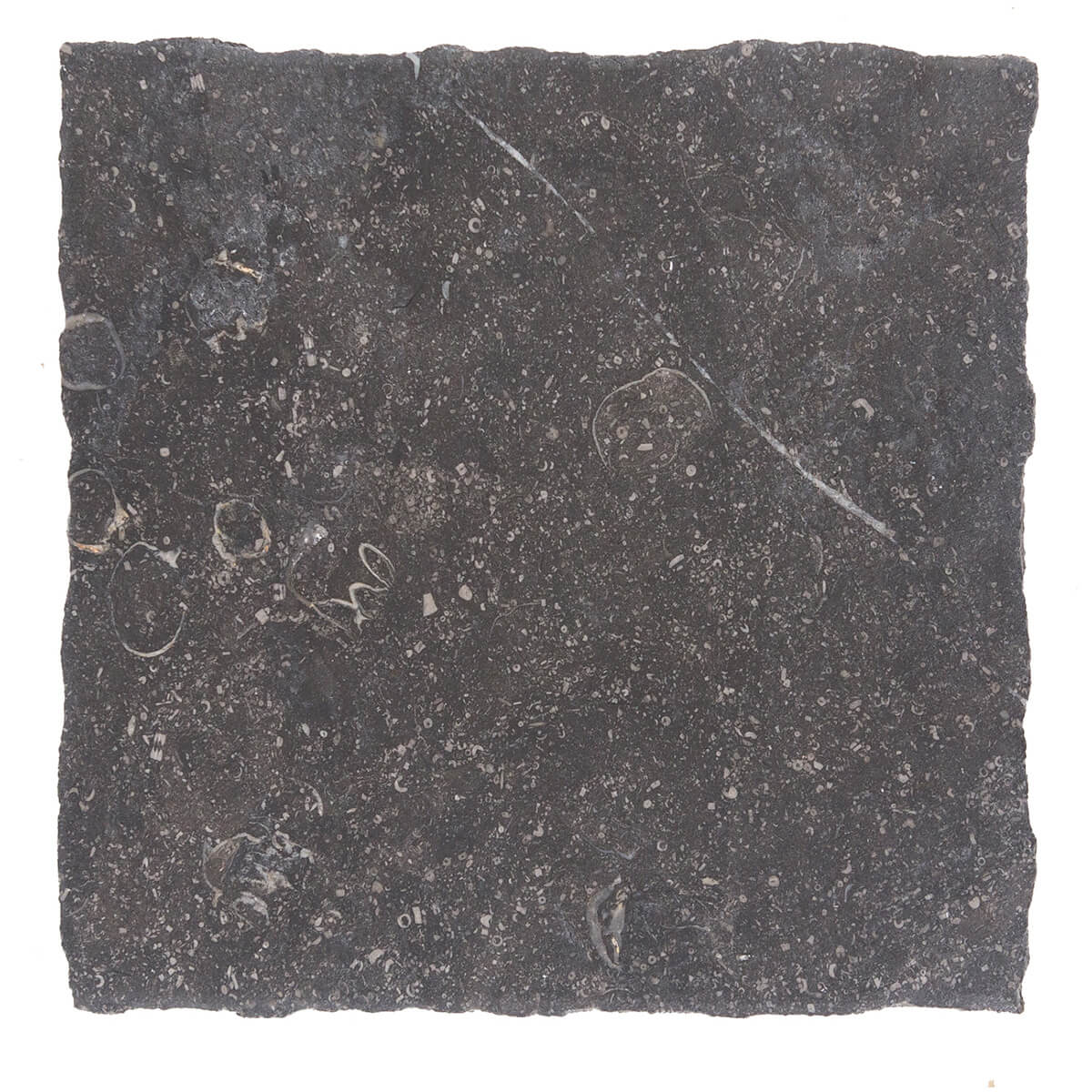 Noir Sully limestone field tile from Haussmann, ideal for residential and commercial use.