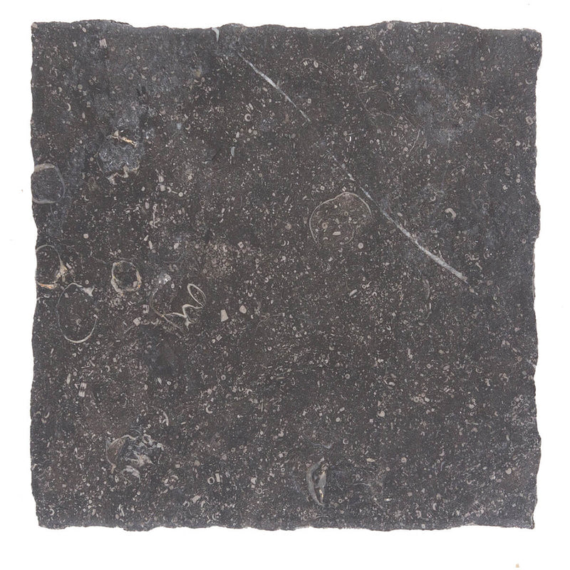 Noir Sully Limestone tile and surface collection