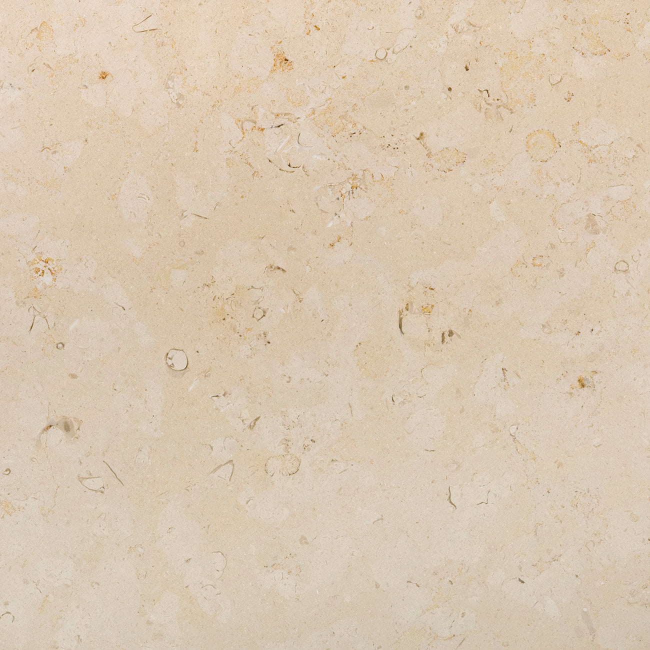 Sainte-Croix field tile from Haussmann Natural Stone, 18x18x0.375 inches, honed finish, straight edges, suitable for various applications, moderate variation, heavy commercial traffic wear, durable and versatile.