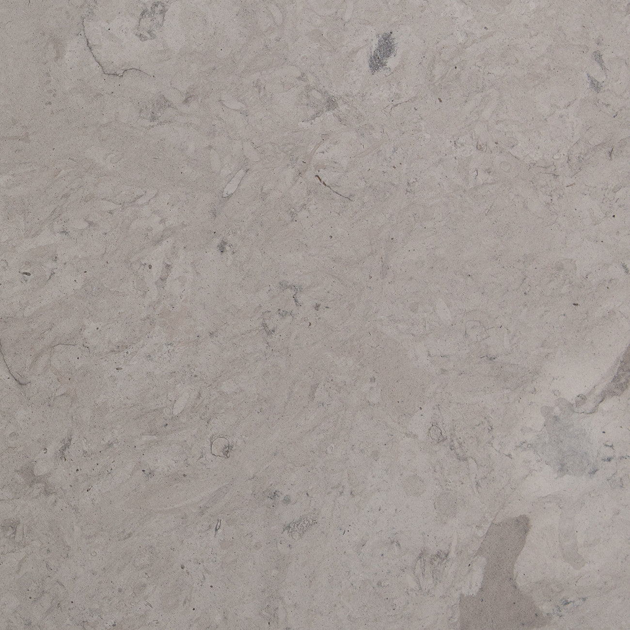 Smoke limestone field tile from Haussmann Natural Stone, 18x18x0.375 inches, honed finish