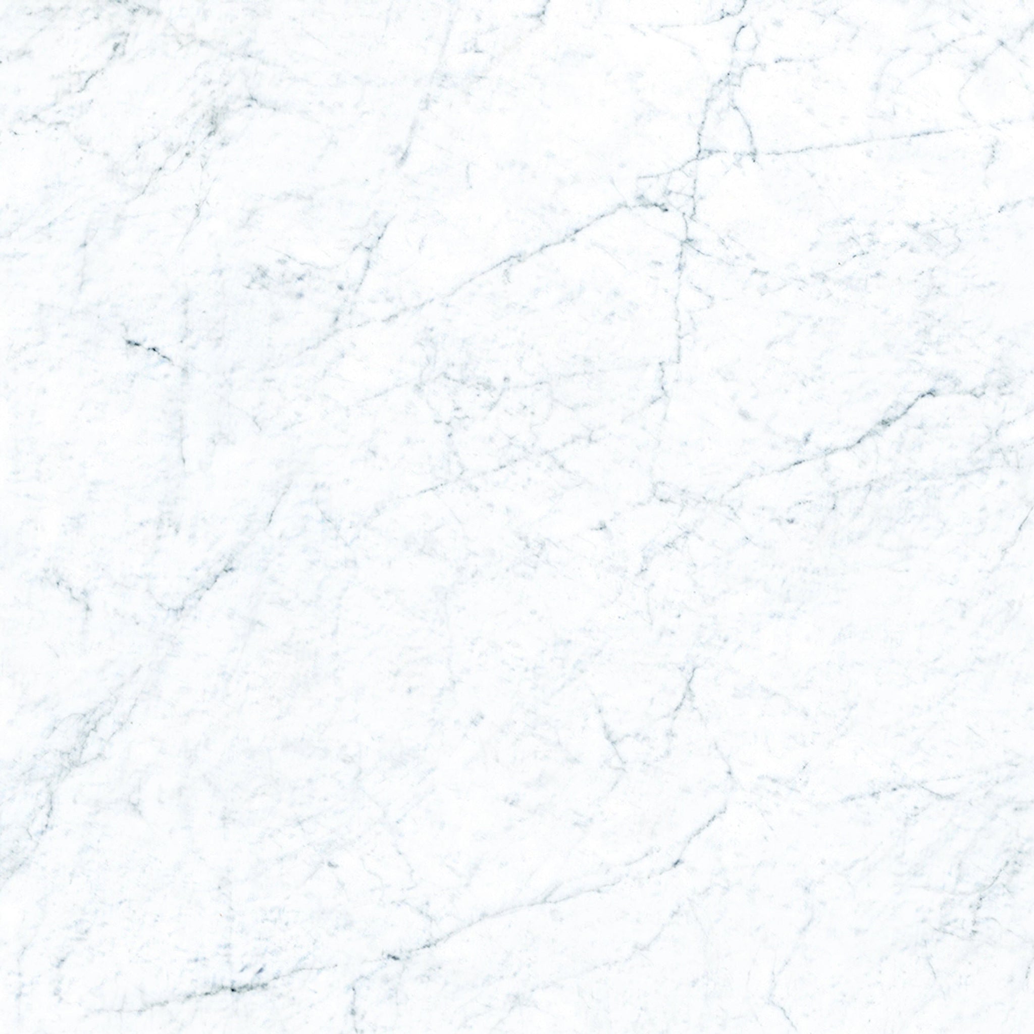 FRONTIER20: Marble Michelangelo White Paver Tile | 24