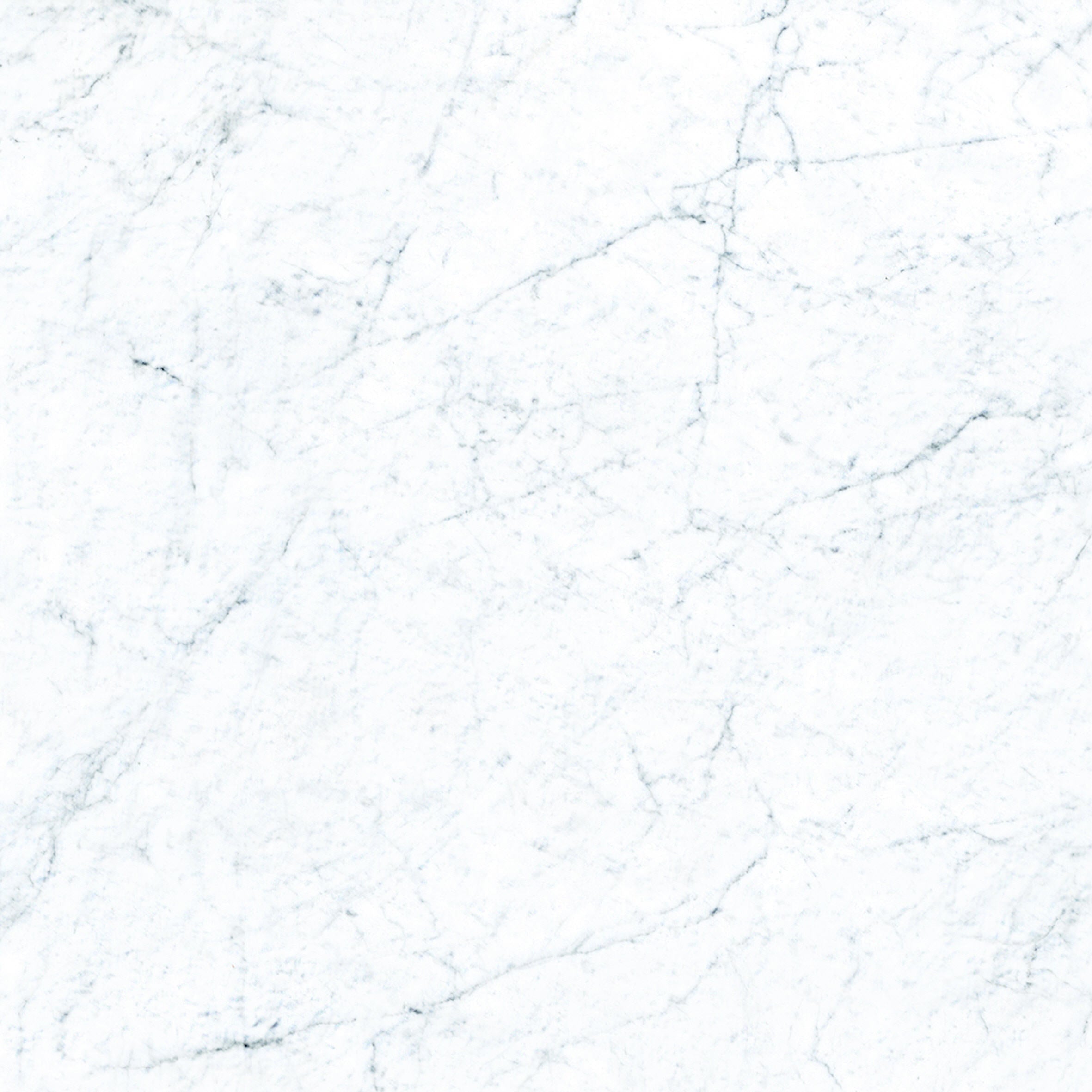 MARBLE: Michelangelo White Double Mesh Field Paving Tile (24"x24"x20mm | matte | rectified)