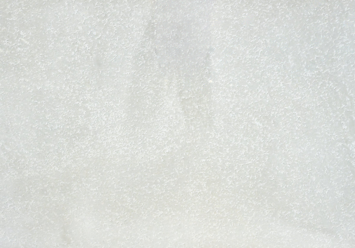 Marble Systems Albatre Blanc glossy quartzite tile — available at Surface Group