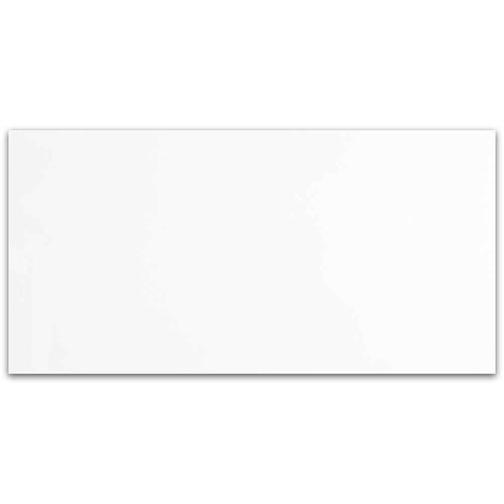 Alpine Polished Porcelain Tile 23 9/16×47 5/16 Image
