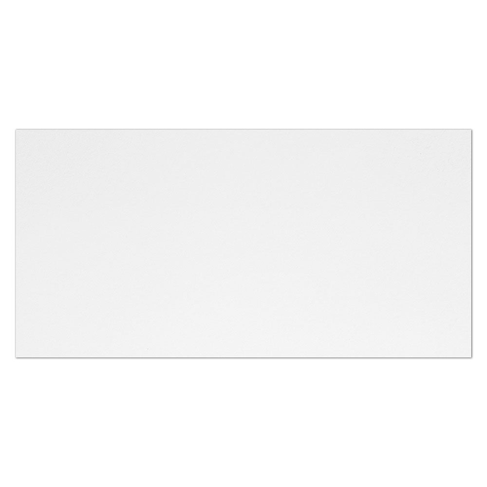 Alpine Matte Porcelain Tile 11 3/4×23 9/16 Image