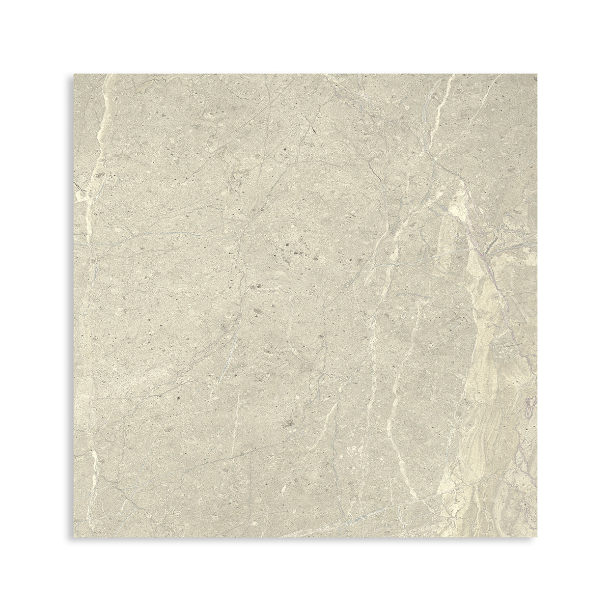 White Matte Porcelain Tile 24×24 Image