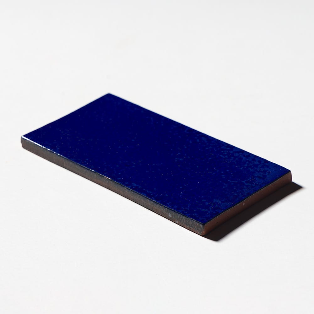 Bowery Glossy  Glazed Terracotta Tiles 4×8 (TL80776)