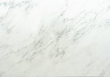 Calacatta Bella Marble Slab (honed | rectified)