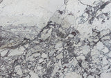 CALACATTA VIOLA MARBLE: Slab (honed | rectified)