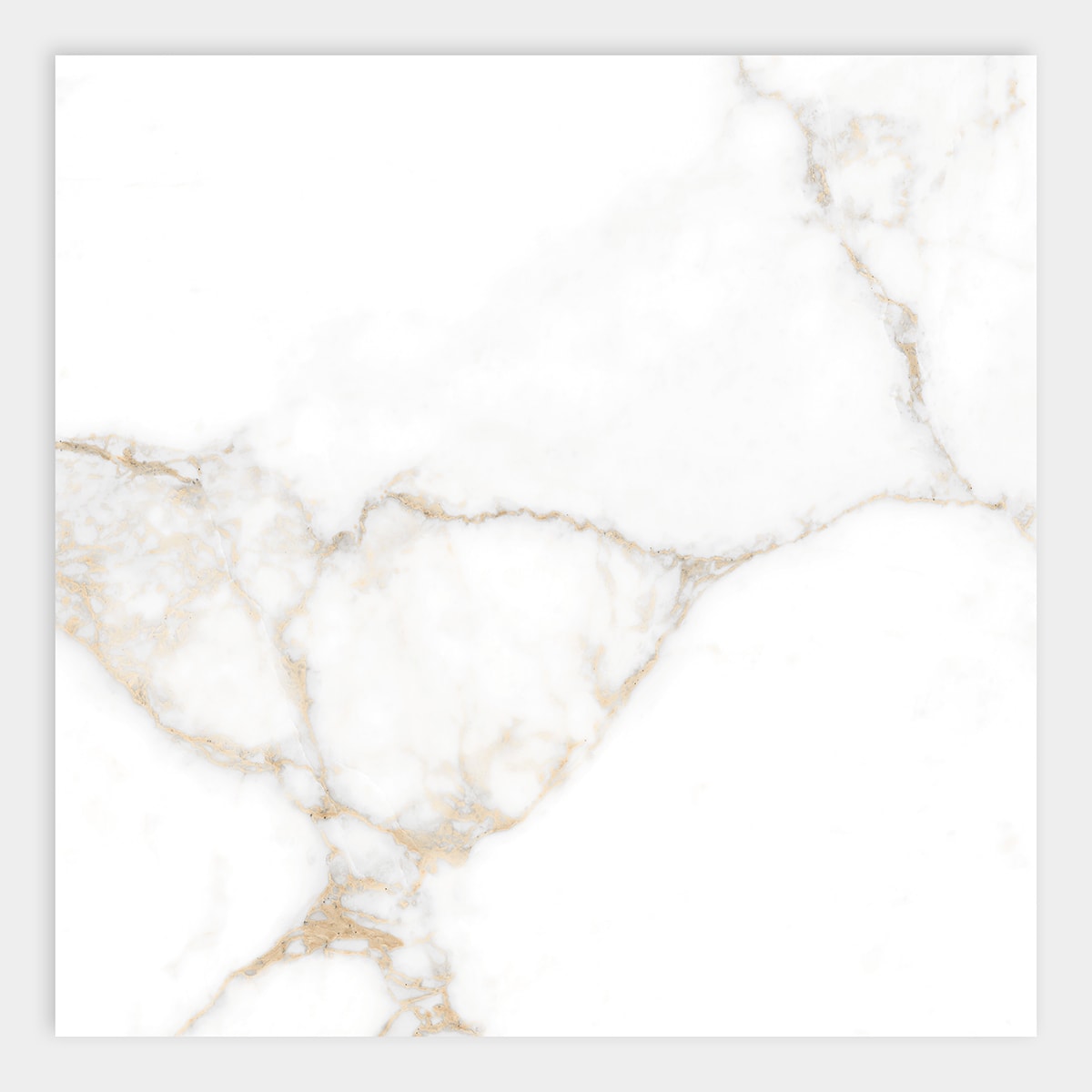 Calacatta Oro Polished Porcelain Tile 24×24 Image