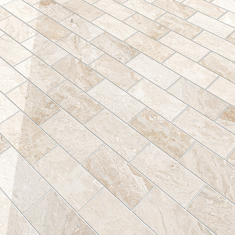 Marble Systems Diana Royal Polished Marble Diana Royal glossy marble tile arrangement — available at Surface Group