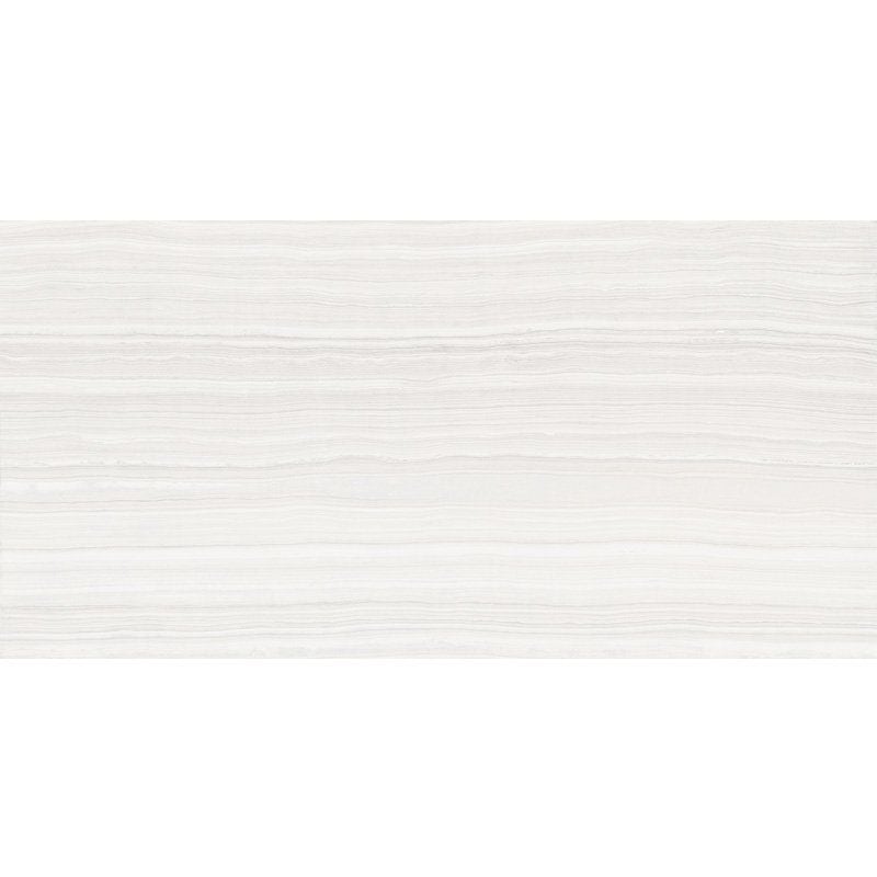 Matrix Bright Matte Porcelain Tile 12×24 Image