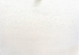 Absolute White Granite Slab (polished | rectified | lot 2)