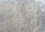 Anatomy Marble Slab (polished | rectified)