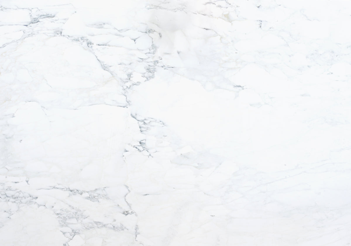 Marble Systems Marble Slabs Calacatta Caldia Classic glossy marble tile — available at Surface Group