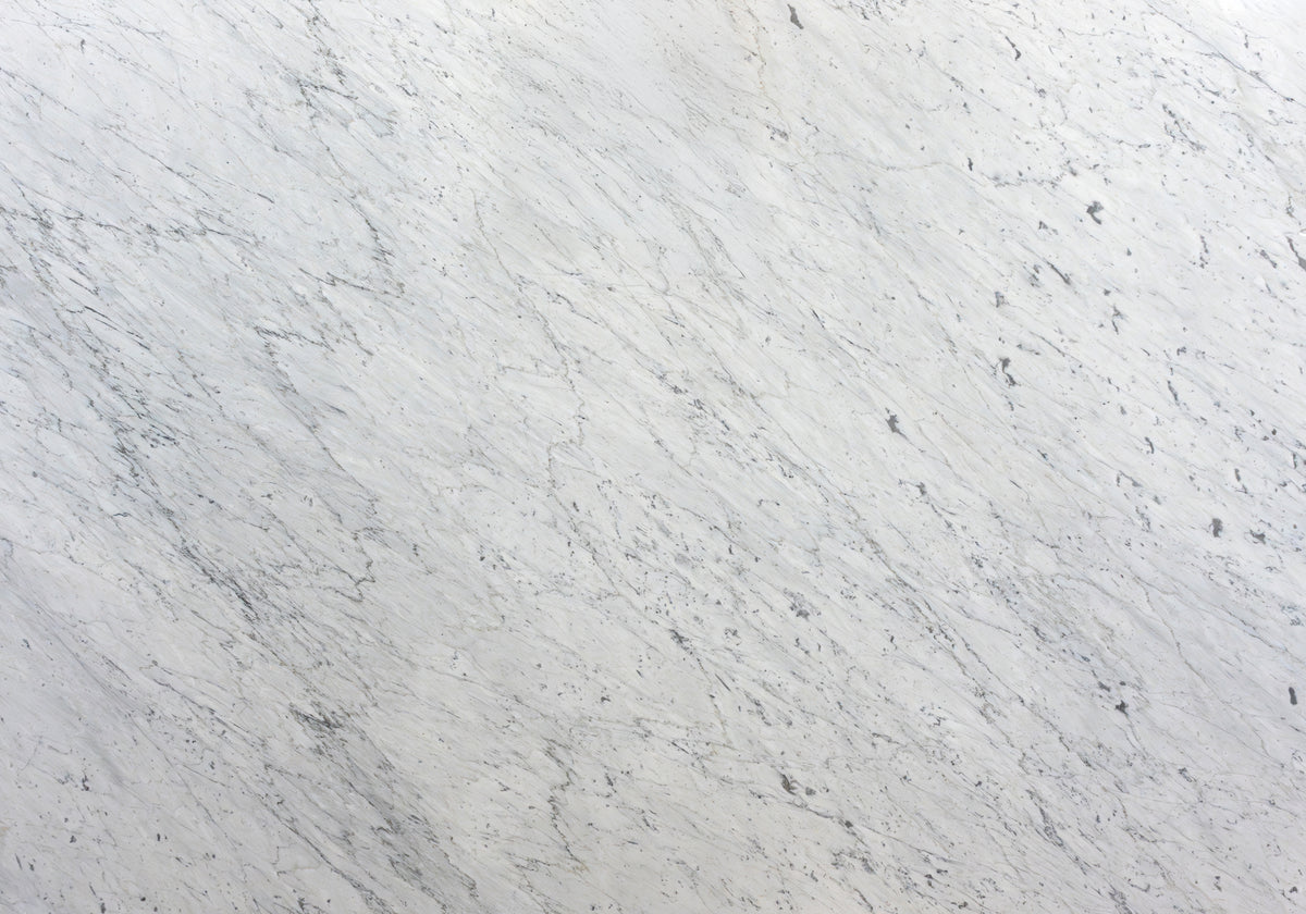 Marble Systems Marble Slabs Calacatta Carrara matte marble tile — available at Surface Group