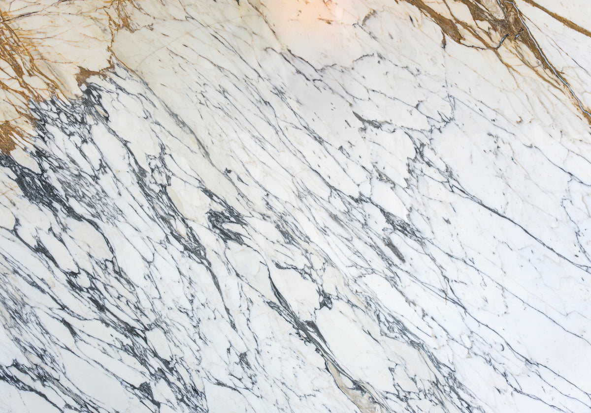 Marble Systems Marble Slabs Calacatta Corchia glossy marble tile — available at Surface Group