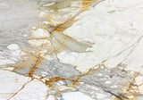 Calacatta Macchia Vecchia Marble Slab (polished | rectified | 3/4" thick)