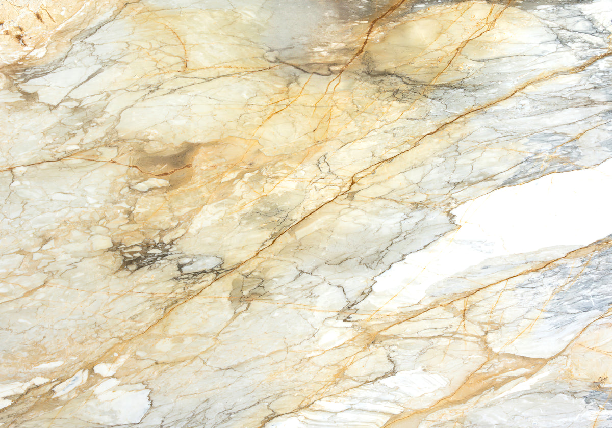 Marble Systems Marble Slabs Calacatta Macchia Vecchia glossy marble tile — available at Surface Group
