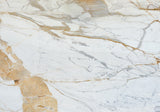 Calacatta Oro Classic Marble Slab (polished | rectified)