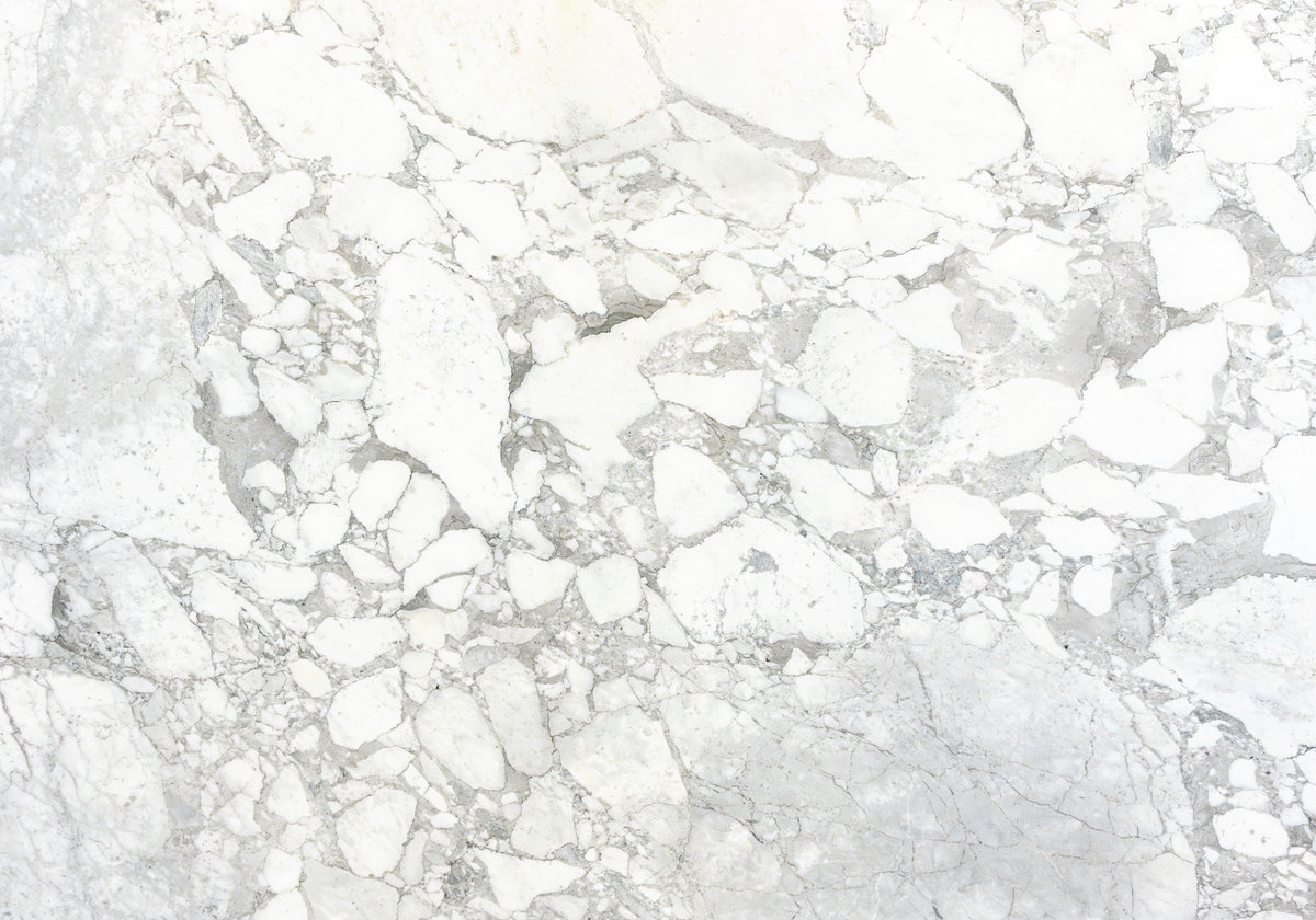 Marble Systems Marble Slabs Calacatta Vagli Supreme glossy marble tile — available at Surface Group